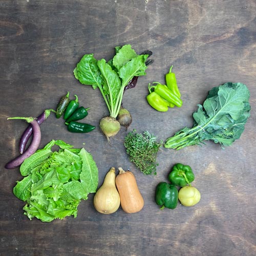 2021-csa-week-26-share