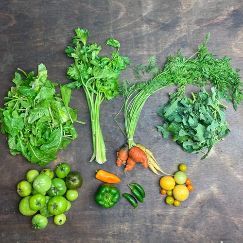 2021-csa-week-28-share