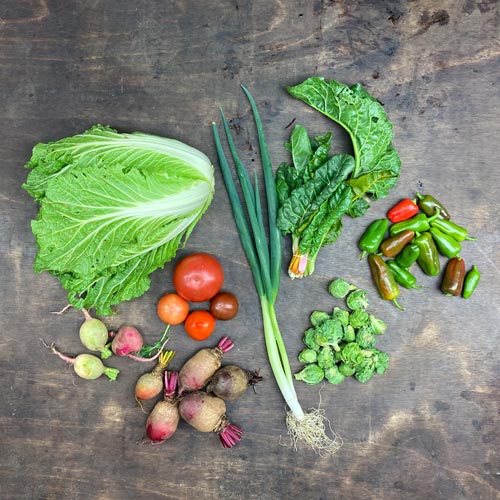 2022-csa-week-27-share