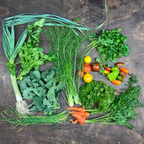 2022-csa-week-28-share