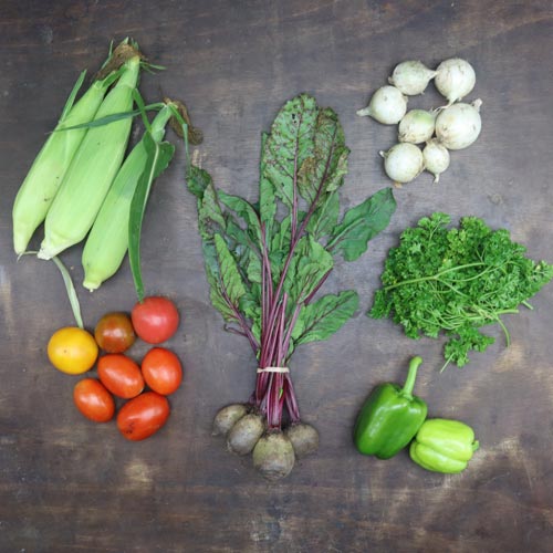 2023-csa-week-17-share