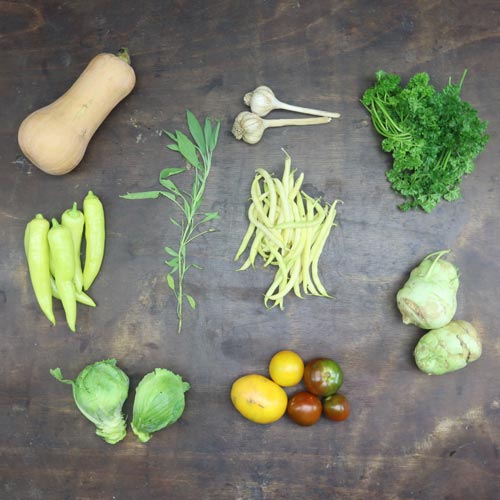 2023-csa-week-18-share