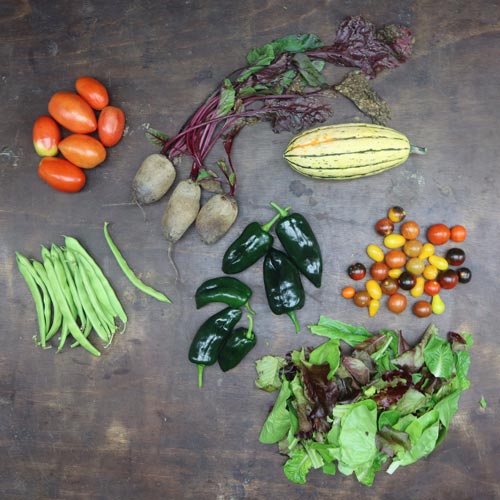 2023-csa-week-19-share2023-csa-week-19-share