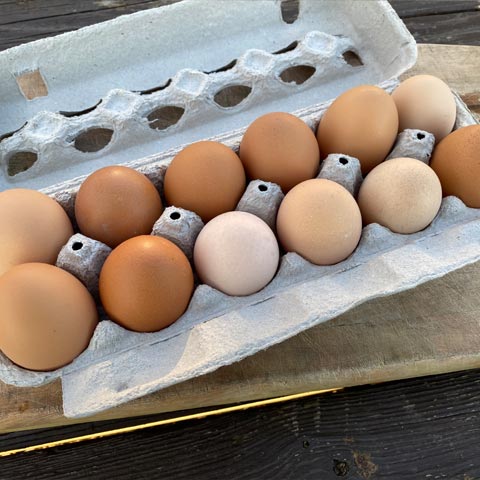 eggs