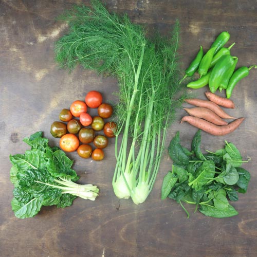 2024-csa-week-26-share