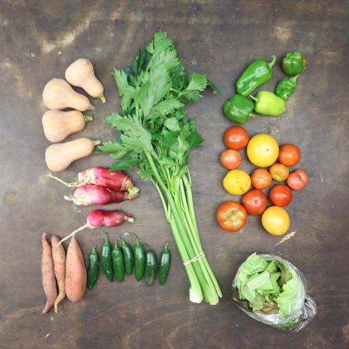 2024-csa-week-27-share