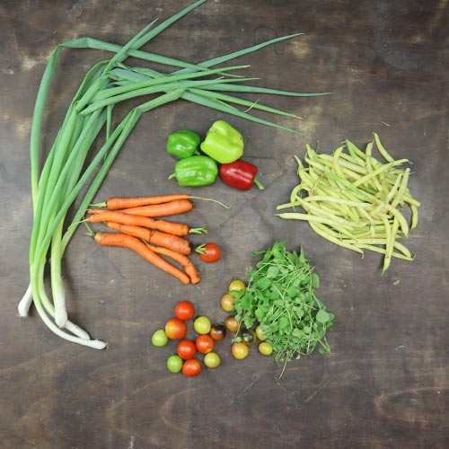 2025-csa-week-13-share