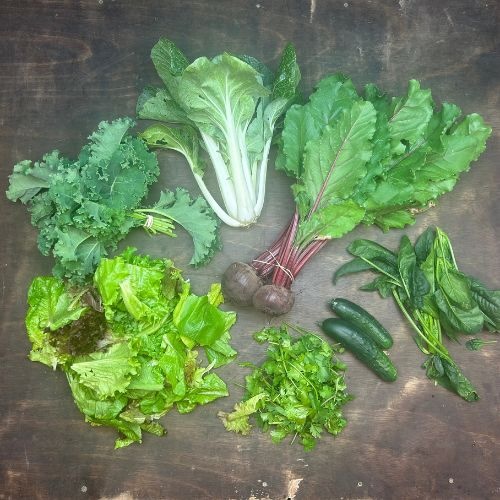 2026-csa-week-5-share