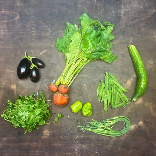 2026-csa-week-7-share