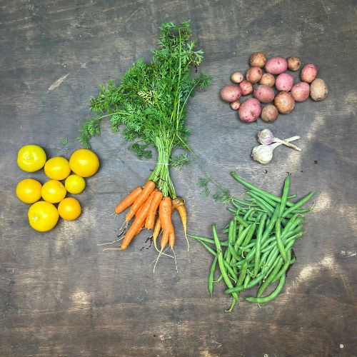 2026-csa-week-10-share