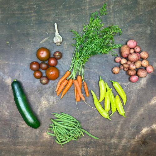 2026-csa-week-11-share
