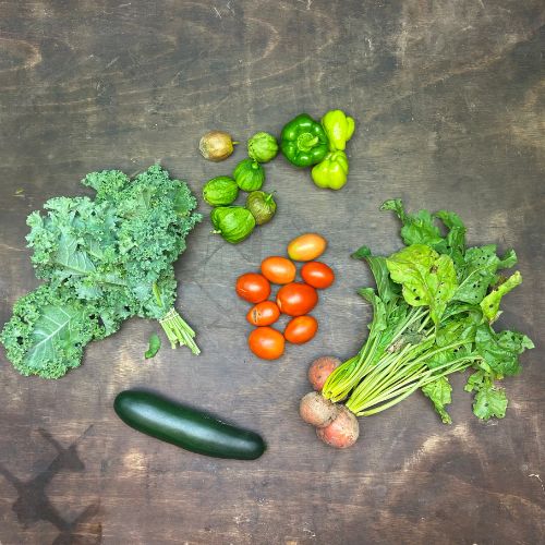 2026-csa-week-12-share