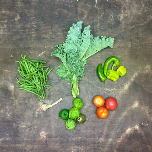 2026-csa-week-9-share