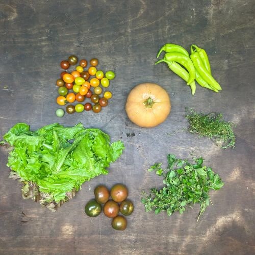 2026-csa-week-23-share