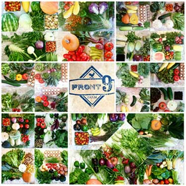 2016-csa-collag