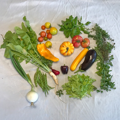 2017-csa-week-18-share