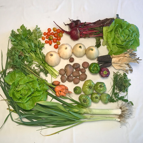 2017-csa-week-26-share