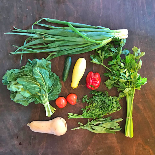 2018-csa-week-21-share