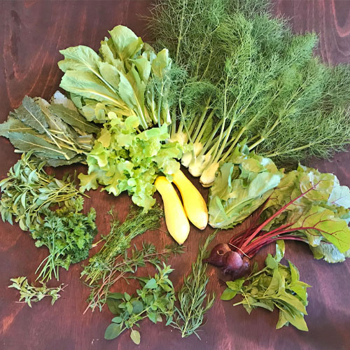 2018-csa-week-5-share