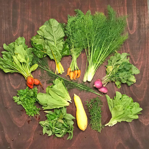 2018-csa-week-6-share