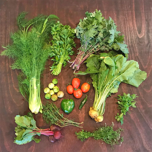 2018-csa-week-8-share