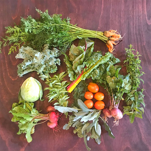 2018-csa-week-9-share