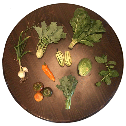 2019-csa-week-8-share