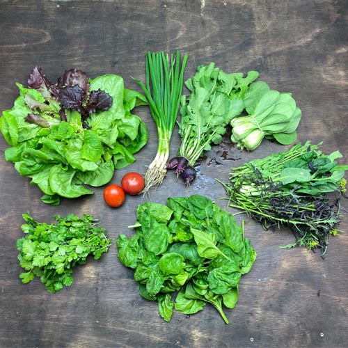 2020-csa-week-2-share