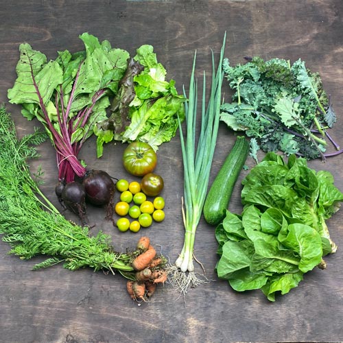 2020-csa-week-9-share