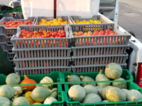 csa-production-methods-loaded-truck